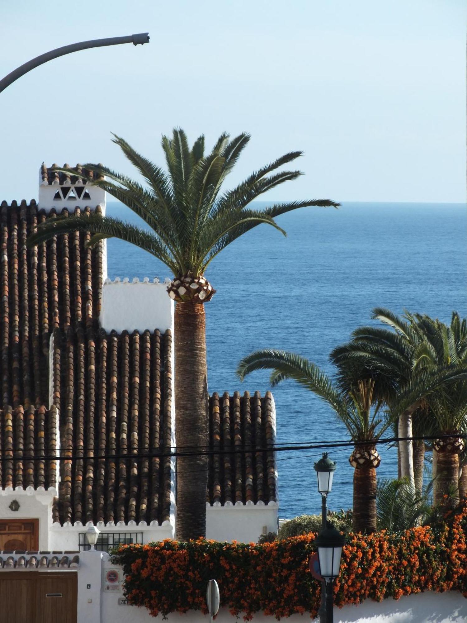 Los Jarales, Nerja Esterno foto